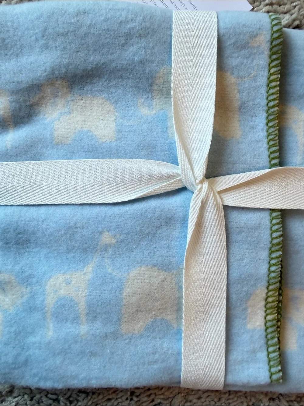 Serena & Lily Safari Baby Blanket